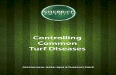 Controlling Common Turf Diseases - Sherriff Amenity Sheets...The resulting mix will provide a good curative and preventative strategy for controlling Fusarium Patch over the autumn