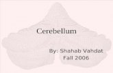 PowerPoint Presentationbme2.aut.ac.ir/.../Notes/Cerebellum-Vahda… · PPT file · Web view · 2006-11-10Cerebellum By: Shahab Vahdat Fall 2006 General View Cerebellum (Latin, little