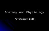 Anatomy and Physiology - Algoma Universitypeople.auc.ca/brodbeck/2617/anat.ppt · PPT file · Web view · 2013-01-02Anatomy and Physiology ... Introduction Anatomy vs ... Ventral