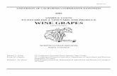 2003 SAMPLE COSTS TO ESTABLISH A VINEYARD …coststudyfiles.ucdavis.edu/.../grapewinenapa03.pdf2003 sample costs to establish a vineyard and produce ... napa county edward a. weber