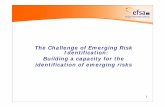The Challenge of Emerging Risk Identification: Building … · The Challenge of Emerging Risk Identification: Building a capacity for the ... – 2009-10 Food and feed – 2011: ...