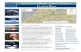St. John River - Maine.gov · Louseworts grow only within a narrow band of the riverbank, usually steep, ... trout in the main stem St. John River, Big Black River and Little Black