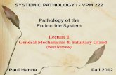 SYSTEMIC PATHOLOGY I - VPM 222 Pathology of the …people.upei.ca/hanna/Endo1/Endo-L1-WEB12.pdf · Pathology of the Endocrine System Lecture 1 ... Basic Histology Diabetes Insipidus