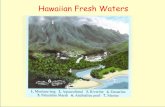 Hawaiian Fresh Waters - Pelagicos the 420 feet high Akaka Falls on the Big Island . Adaptations for Climbing Small, nearly scaleless bottom dwellers as adults. ... (known as medaka