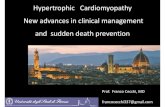 Hypertrophic Cardiomyopathy New advancesin ...€¦ · New advancesin clinicalmanagement and suddendeathprevention ... HCM Myofilament Protein ... • avoid leadfractureand sepsis