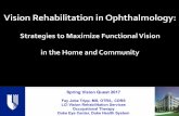 Spring Vision Quest 2017 - Duke Ophthalmology … Vision Quest 2017 Fay Jobe Tripp, MS, OTR/L, CDRS LCI Vision Rehabilitation Services Occupational Therapy Duke Eye Center, Duke Health