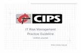 CIPS Risk Management Practice Guideline - About Me ...rfabian.com/risk/CIPS_Risk_Presentation.pdfonline course Stuff Happens … Bob Fabian, I.S.P. instructor • Former Chair, Computer