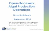 Open-Raceway Algal Production Operations - Algae …algaebiomass.org/wp-content/gallery/2012-algae-biomass...Open-Raceway Algal Production Operations September 2014 Dave Hazlebeck