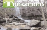 17436 AFC Spring04 - Forestry Commission · •The AFC ranks 11th in the south in ... Alabama’s TREASURED Forests magazine which will ... is published quarterly by the Alabama Forestry