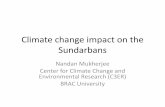 Climate change impact on the Sundarbans - …cdn.cseindia.org/userfiles/presentation1_sundarbans.pdfBlock in Sundarban Percentage of Suitability Very Good Good Poor 31. Impact on tigers.