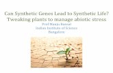 Can Synthetic Genes Lead to Synthetic Life? Tweaking ...ilsirf.org/wp-content/uploads/sites/5/2017/09/SABC2017_Plenary... · Can Synthetic Genes Lead to Synthetic Life? Tweaking plants