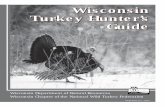 our Turkey Stamp ork Y earlier editions contained information on the turkey restoration program, turkey ... bird in North America, adult male turkeys ... young turkeys can only be