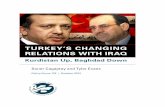 TURKEY’S CHANGING RELATIONS WITH IRAQ€™S CHANGING RELATIONS WITH IRAQ ... He has also served on contract as chair of the Turkey Advanced Area Studies Program at ... American