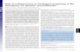 Role of orthopyroxene in rheological weakening of … of orthopyroxene in rheological weakening of the lithosphere via dynamic recrystallization ... i.K. designed research; ... rates