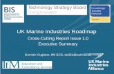 UK Marine Industries Roadmap · UK Marine Industries Roadmap Cross -Cutting Report ... added value and impact on societal and environmental challenges) and ... (in developed and emerging