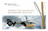 Palliative Care and the ICU and the... · Total ICU deaths 6,303 (8.5% mortality) Brain deaths 393 ... Palliative Care and the ICU ... published a consensus document for improving