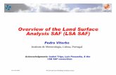 Overview of the Land Overview of the Land Surface Surface Analysis SAF (LSA …€¦ ·  · 2010-12-13Analysis SAF (LSA Analysis SAF (LSA SAF (LSA SAF) SAF) Pedro Viterbo Instituto