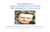 MORPHIC RESONANCE AND MORPHIC FIELDS - … Reprint from 2001 The...MORPHIC RESONANCE AND MORPHIC FIELDS an Introduction by Rupert Sheldrake In the hypothesis of formative causation,