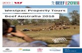 Westpac Property Tours Beef Australia 2018beefaustralia.com.au/wp-content/uploads/Property-Tour...6 7 Barfield Station At Barfield Station, the Leathers run a Brahman based herd with