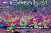 Catalyst - Marine Biological Laboratorycomm.archive.mbl.edu/publications/catalyst/pdf/catalyst...As this issue of MBL Catalyst shows, the MBL has long been a leader in microscopy and