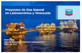 Proyectos de Gas Natural en Latinoamérica y Venezuela · el cambio de precios del crudo y gas natural; cambio de ... producción o de fabricación instalaciones de la empresa o ...
