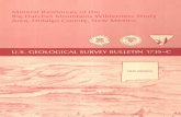 Mineral Resources of the - USGS · Mineral resources of the Big Hatchet Mountains Wilderness Study Area, ... Base and precious metals C7 ... Geophysics C15