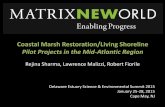 Coastal Marsh Restoration/ Living Shoreline Pilot Projects ... · habitats for living resources ... Hybrid – natural + low-profile rock structures ... – Re-vegetation of project