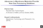 Advances in Membrane Materials Provide New Gas … File name 1 Advances in Membrane Materials Provide New Gas Processing Solutions Patrick Hale Randall Gas Technologies A Division