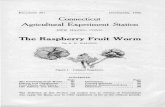 Connecticut Agricultural Experiment Station Raspberry Fruit Worm. Thou ect were urus unicolor Say nade upo LDEN, B, ~gh the lbanPucxly Fruit TKTnrm nr 'TvVIuI ~r Raspberry Beetle has