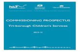 COMMISSIONING PROSPECTUS Tri-borough … PROSPECTUS...between the London Borough of Hammersmith and Fulham, the Royal Borough of Kensington and Chelsea and Westminster City Council.