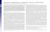 Sensory adaptation as optimal resource allocation adaptation as optimal resource allocation ... by a theory of distribution of receptive ﬁeld characteristics in the ... spatiotemporal