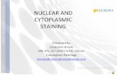 NUCLEARAND CYTOPLASMIC STAINING - … · NUCLEARAND CYTOPLASMIC STAINING! Presentedby: JacquelineBrooks MB,HTL,SCT(ASCP)QIHC,CMIAC ... Bluing! Aernuclearstainingwithhematoxylinsoluonsanddiﬀerenaonif