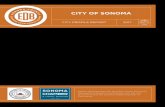 CITY OF SONOMA - storage.googleapis.com · CITY OF SONOMA CITY PROFILE REPORT 2017. Report developed by the Sonoma County Economic ... Sebastopol Windsor Healdsburg …