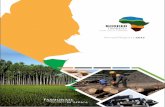 BORDER TIMBERS Timbers Annual report... · BORDER TIMBERS ANNUAL REPORT 2017 1 CONTENTSCONTENTS CONTENTSCONTENTS CONTENTSCONTENTS CONTENTSCONTENTS OVERVIEW About Border Timbers 2