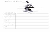 The Compound Light Microscope - Mrs. Wigmore's …bwigmore.weebly.com/uploads/1/8/6/4/18641040/student_biology_note… · The Compound Light Microscope ... 1. Drawings should be ...