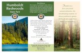 Humboldt Our Mission T Redwoods - California State … HISTORY Native People The Sinkyone people lived in the area of Humboldt Redwoods State Park’s southern region for thousands