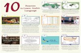 10 reasons to learn arabic lunguage - St. Lawrence …blogs.stlawu.edu/.../2013/12/10-Reasons-to-Learn-Arabic-Language.pdfthe values important to the Arabic people, ... astrology,