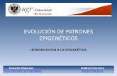 EVOLUCIÓN DE PATRONES EPIGENÉTICOS - …bioinfo2.ugr.es/presentaciones/EvolMol/Introducci... · evoluciÓn de patrones epigenÉticos introducciÓn a la epigenÉtica ¿quÉ es la