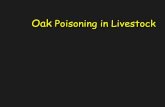 Oak Poisoning in Livestock - ARS Home : USDA ARS€¦ ·  · 2010-04-01Sheep and cattle have < PRPs than goats; Consumption by livestock ... Mechanical or fire treatment may reduce