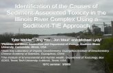 Identification of the Causes of Sediment-Associated ... · Identification of the Causes of Sediment-Associated Toxicity in the Illinois River Complex Using a Sediment-TIE Approach