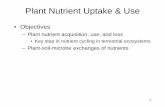 – Plant-soil-microbe exchanges of nutrients€“ Plant-soil-microbe exchanges of nutrients 2 • Nutrient (along with light & H 2O) supply is a dominant control over ecosystem processes