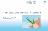 Ticks and Lyme Disease in Scotland - NHS Education for ... · Ticks and Lyme Disease in Scotland ... • Understand the nature of Lyme disease and its mode of ... Epidemiology from
