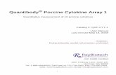 Quantibody Porcine Cytokine Array 1 - RayBiotech · 1 QAP-CYT-1S Porcine Cytokine Array 1 ... when incubation is more than 2 hours or