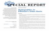 Hydropolitics in Pakistan’s Indus Basin the Repo R t This report, commissioned by the United States Institute of Peace, examines the Indus Waters Treaty and its role in contemporary