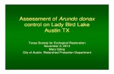Assessment of Arundo donax - Society For Ecological ...chapter.ser.org/texas/files/2013/11/Gilroy_Assessment-of-Arundo...Assessment of Arundo donax control on Lady Bird Lake Austin