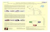 Genetic variability of Chilean and Peruvian surf clams ... variability of Chilean and Peruvian surf clams (Donax marincovichi and Donax obesulus) ... in 25 µl reactions.