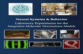 Neural Systems & Behavior Systems & Behavior 2014 Integrative Molecular Neuroethology Module iii Table of Contents Instructor Information .....iv ...