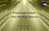 Financial Crisis: The Perfect Storm - Point Nine Limited · Financial Crisis: The Perfect Storm. 2 ... Securities Industry and Financial Markets Association ... • $1 loss above