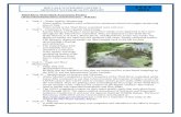 Thief River Watershed Assessment Project (Watershed ... 7 July... · Thief River Watershed Assessment Project (Watershed Restoration and Protection ... TROLL 9500 dissolved oxygen