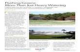 Flushing Greens: More Than Just Heavy Wateringgsrpdf.lib.msu.edu/ticpdf.py?file=/article/white-flushing-5-2-14.pdf · flushing results. SOIL AND WATER TESTING Detailed water and soil
